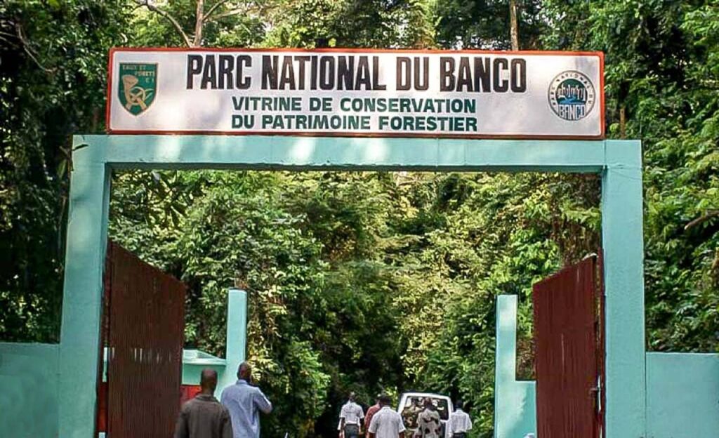 Parc national du banco Cote d'Ivoire