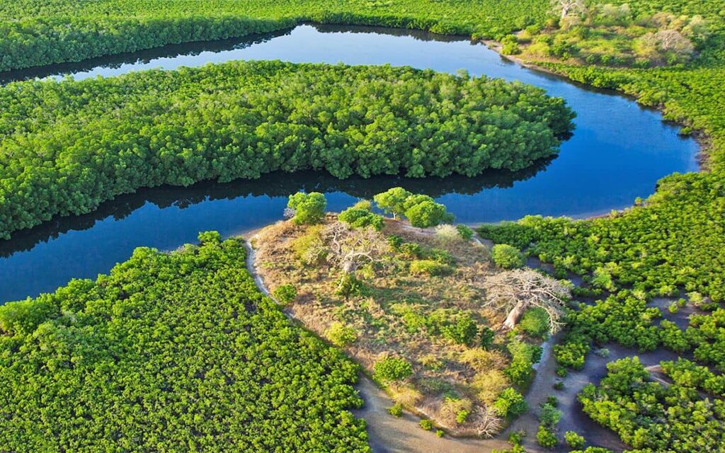 La Mangrove Siné Saloum