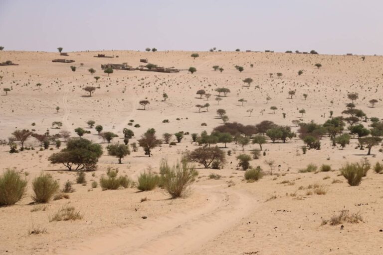 Tourisme au Sénégal les lieux à visiter Destination Afrique